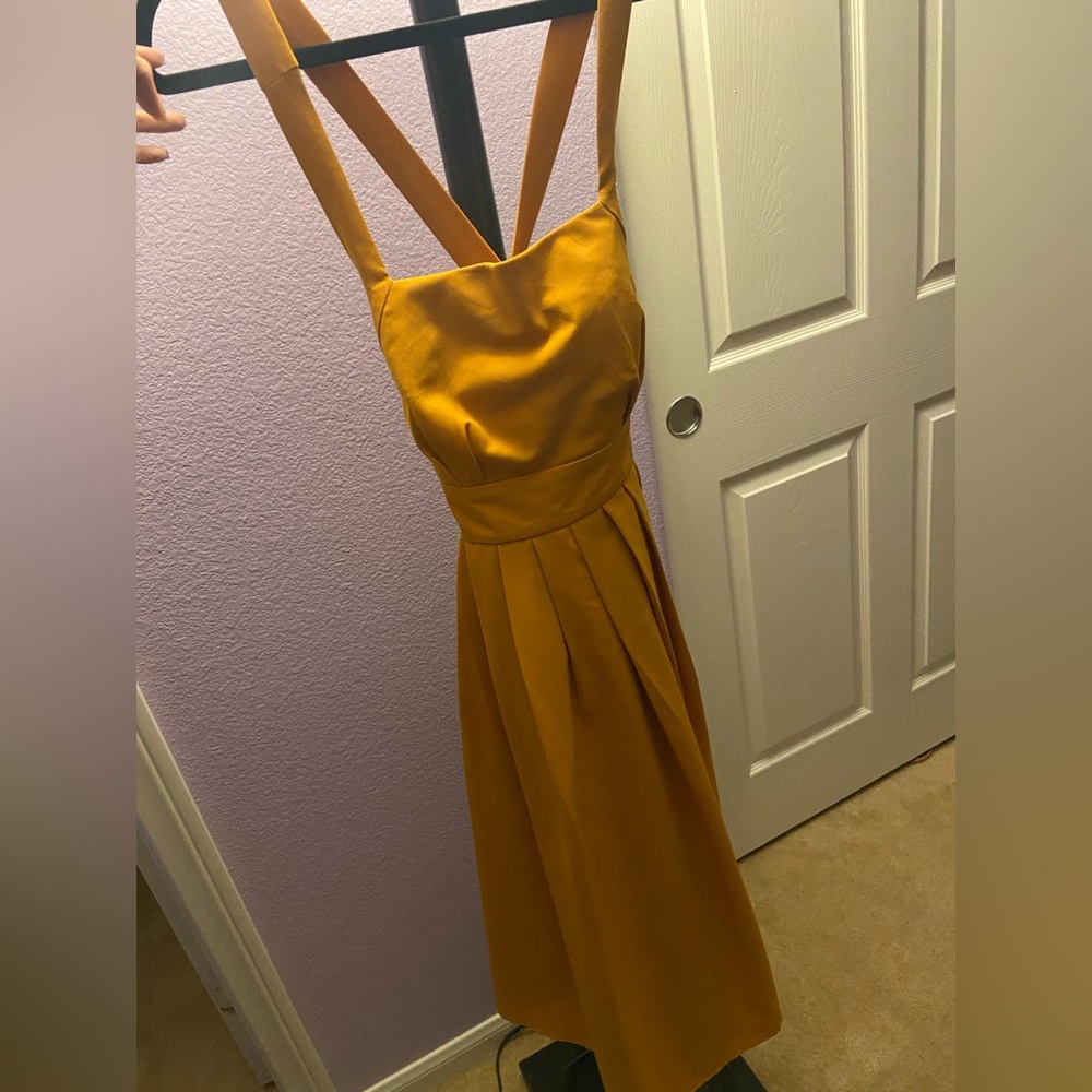 Fit and Flare Pleated Dress